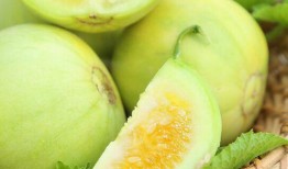 精绝在线吃瓜免费,揭秘免费吃瓜背后的精彩故事